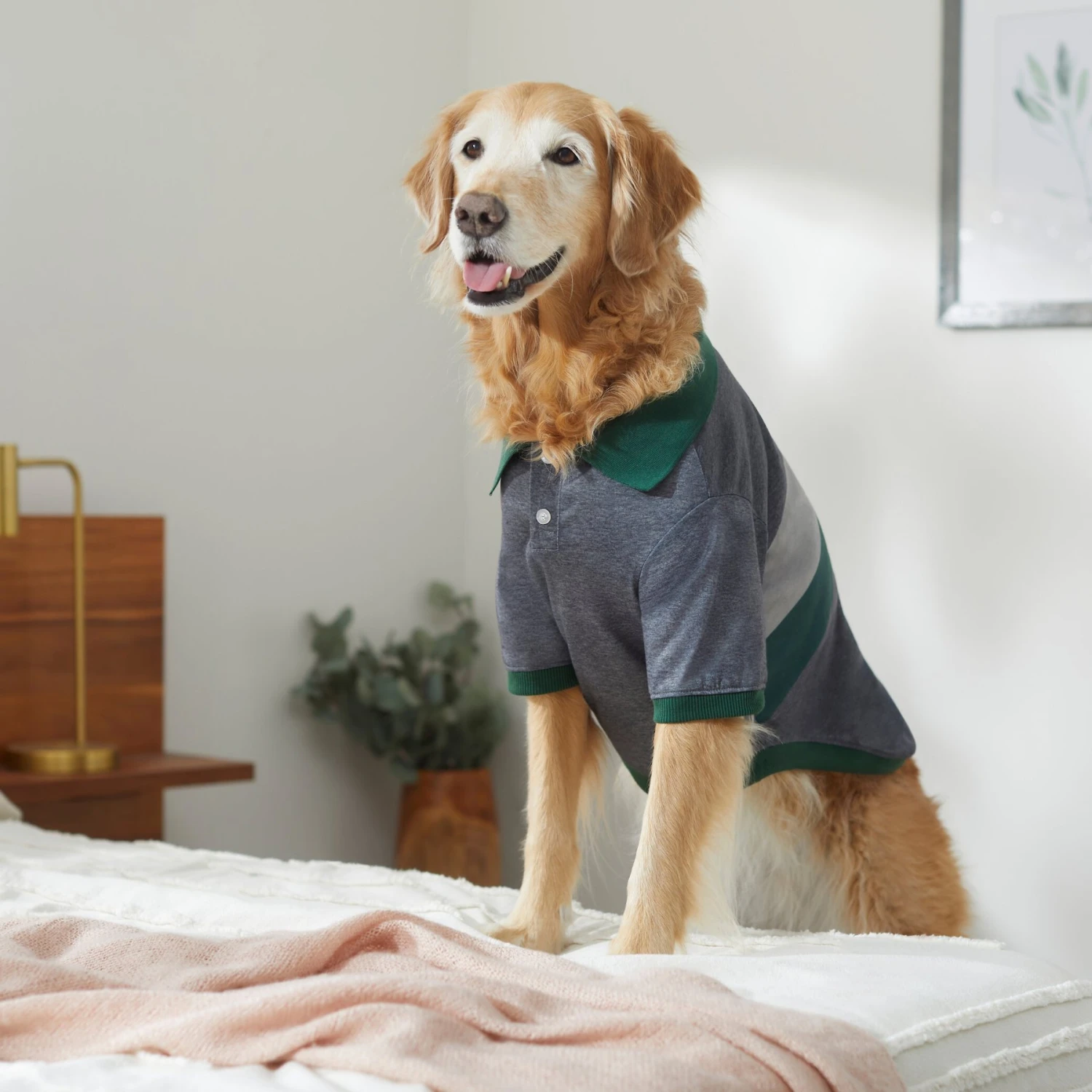 Frisco Green Striped Polo Dog & Cat Shirt 11 Frisco Green Striped Polo Dog & Cat Shirt - Image 9