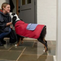 Frisco Lightweight Red Reversible Packable Dog Raincoat -Frisco Sales Store 315109 PT8. AC SS1800 V1646437779