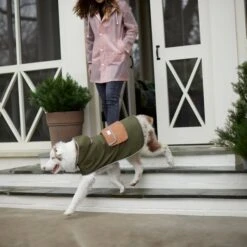 Frisco Lightweight Olive Reversible Packable Dog Raincoat -Frisco Sales Store 315116 PT8. AC SS1800 V1646435907