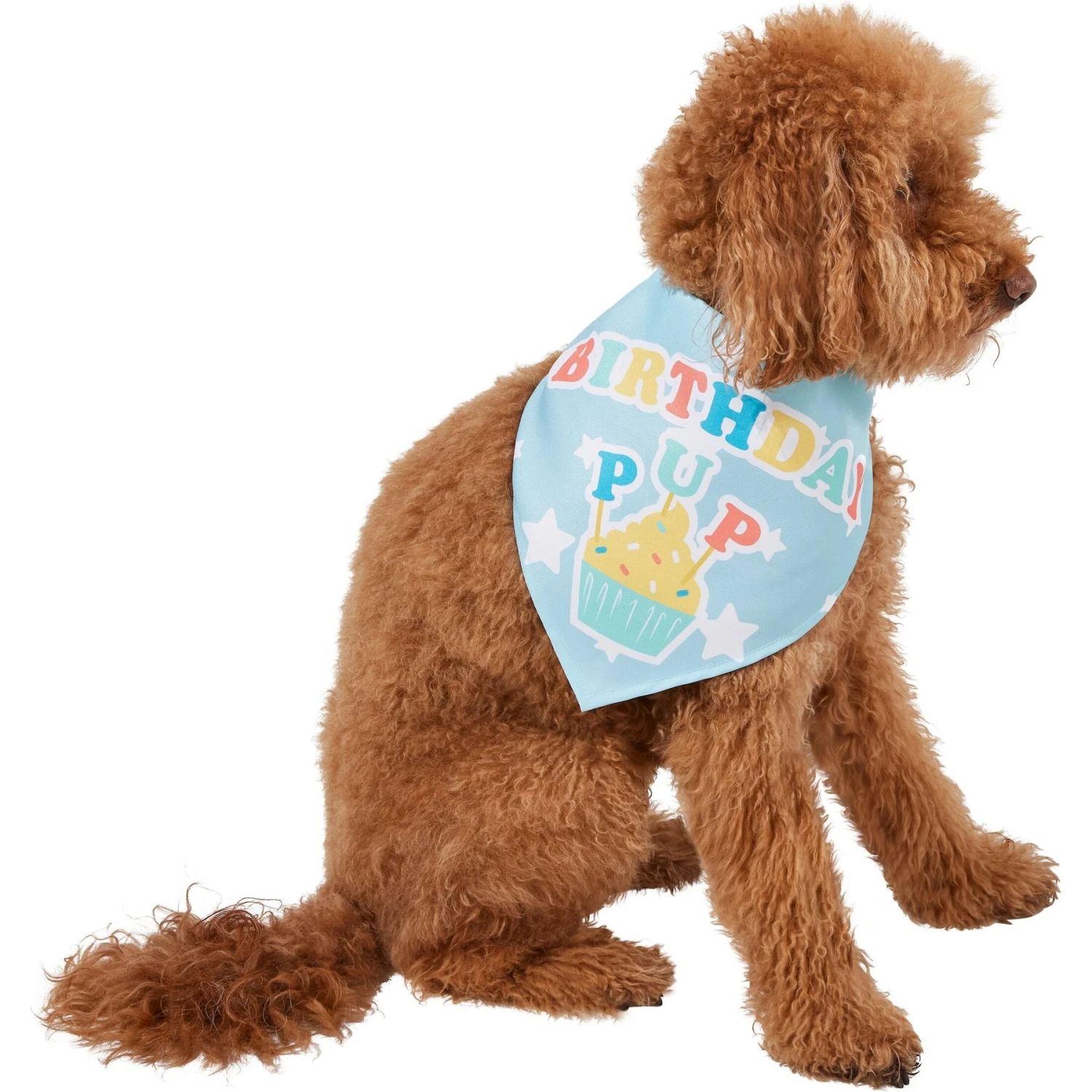 Frisco Birthday Pup Dog & Cat Bandana 3 Frisco Birthday Pup Dog & Cat Bandana