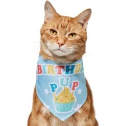 Frisco Birthday Pup Dog & Cat Bandana 11 Frisco Birthday Pup Dog & Cat Bandana -Frisco Sales Store 315130 PT2. AC SS1800 V1646437964