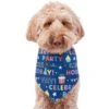 Frisco Celebration Dog & Cat Bandana 1 Frisco Celebration Dog & Cat Bandana -Frisco Sales Store 315133 MAIN. AC SS1800 V1646438946