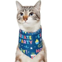 Frisco Celebration Dog & Cat Bandana -Frisco Sales Store 315133 PT2. AC SS1800 V1646439780