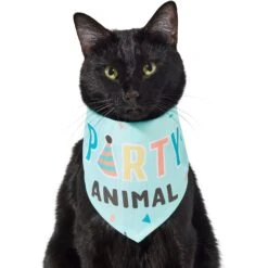 Frisco Party Animal Dog & Cat Bandana -Frisco Sales Store 315136 PT2. AC SS1800 V1646438016