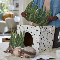 Frisco Potted Succulent Cardboard Cat House -Frisco Sales Store 317723 PT3. AC SS1800 V1688677248