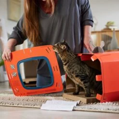 Frisco TV Set Cardboard Cat House -Frisco Sales Store 317731 PT3. AC SS1800 V1688677262