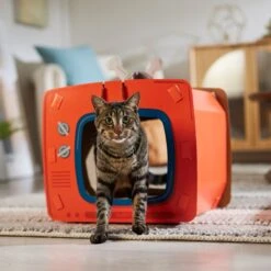 Frisco TV Set Cardboard Cat House -Frisco Sales Store 317731 PT4. AC SS1800 V1688677247