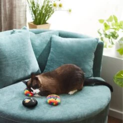 Frisco Pride Buttons Plush Cat Toy With Catnip, 3 Count -Frisco Sales Store 331688 PT3. AC SS1800 V1647355746