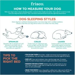 Frisco Cat Donut Bed 11 Frisco Cat Donut Bed -Frisco Sales Store 333854 PT3. AC SS1800 V1658718001