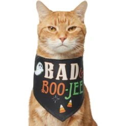 Frisco Bad & Boo-Jee Dog & Cat Costume Bandana -Frisco Sales Store 334807 PT2. AC SS1800 V1659034006