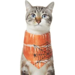 Frisco Orange Spiderweb Dog & Cat Costume Bandana 12 Frisco Orange Spiderweb Dog & Cat Costume Bandana -Frisco Sales Store 335046 PT2. AC SS1800 V1658716498