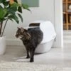 Frisco Modern Hooded Cat Litter Box -Frisco Sales Store 341985 MAIN. AC SS1800 V1642605052
