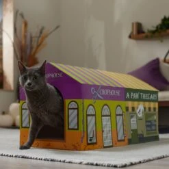 Frisco Halloween A-Paw-Thecary & Chop House Cardboard Cat House With Catnip -Frisco Sales Store 344002 PT3. AC SS1800 V1657657029