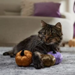 Frisco Halloween Bougie Pumpkins Plush Cat Toy With Catnip -Frisco Sales Store 344014 PT3. AC SS1800 V1657657029