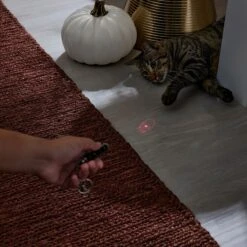 Frisco Halloween Skull Laser Cat Toy 10 Frisco Halloween Skull Laser Cat Toy -Frisco Sales Store 344068 PT3. AC SS1800 V1659279988