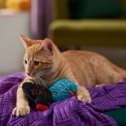 Frisco Halloween Elixirs Plush Cat Toy With Catnip -Frisco Sales Store 344070 PT3. AC SS1800 V1657657033