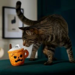 Frisco Halloween Spooky Pumpkin Spice Latte Plush Cat Toy With Catnip 8 Frisco Halloween Spooky Pumpkin Spice Latte Plush Cat Toy With Catnip -Frisco Sales Store 344080 PT3. AC SS1800 V1657657033