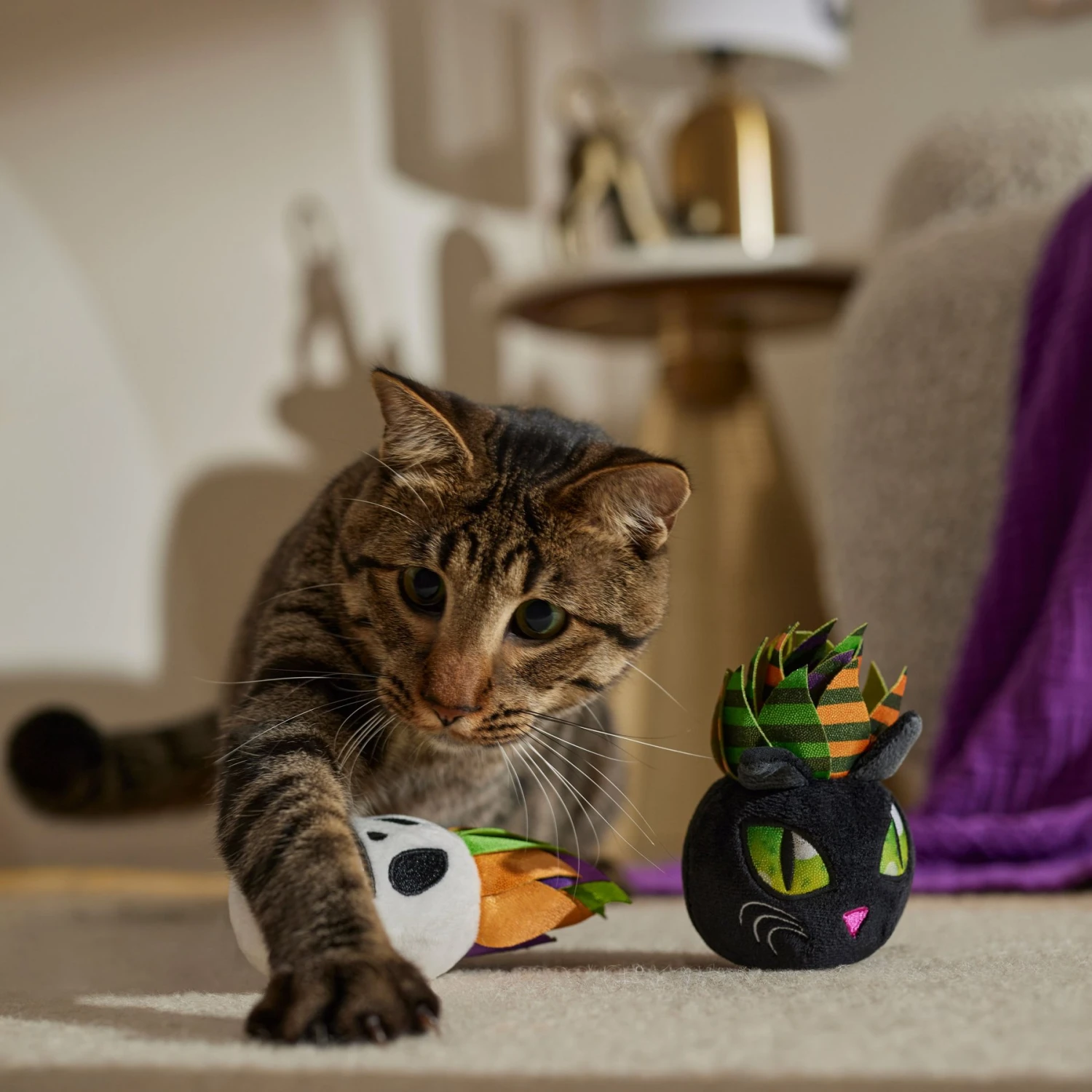 Frisco Halloween Succulents Plush Cat Toy With Catnip, 2 Count 5 Frisco Halloween Succulents Plush Cat Toy With Catnip, 2 Count - Image 3