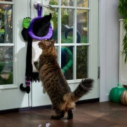 Frisco Halloween Witch Doorknob Hanger Cat Toy With Catnip -Frisco Sales Store 344092 PT3. AC SS1800 V1657657035