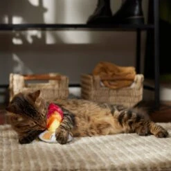Frisco Fall Campfire Plush Cat Toy With Catnip 8 Frisco Fall Campfire Plush Cat Toy With Catnip -Frisco Sales Store 344178 PT3. AC SS1800 V1659023182