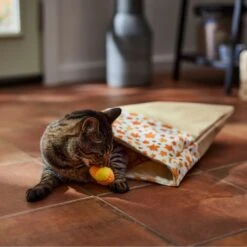 Frisco Fall Leaf Cat Sack Cat Toy With Catnip -Frisco Sales Store 344184 PT3. AC SS1800 V1659023183