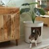 Frisco Hidden Planter Cat Litter Box, 16-in -Frisco Sales Store 345566 MAIN. AC SS1800 V1667226956