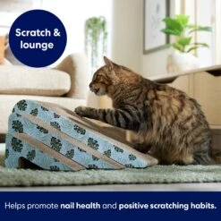 Frisco Nesting Cat Scratcher Toy With Catnip, Tropical Paradise -Frisco Sales Store 347215 PT3. AC SS1800 V1659699261