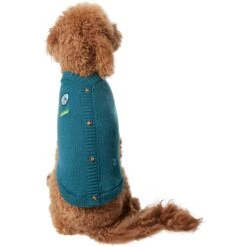 Frisco Teal Button Down Dog & Cat Sweater -Frisco Sales Store 353580 PT2. AC SS1800 V1659006937