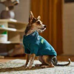 Frisco Teal Button Down Dog & Cat Sweater -Frisco Sales Store 353580 PT7. AC SS1800 V1660749932