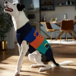 Frisco Anaconda Cheetah Colorblock Dog & Cat Sweater -Frisco Sales Store 353596 PT7. AC SS1800 V1660749560