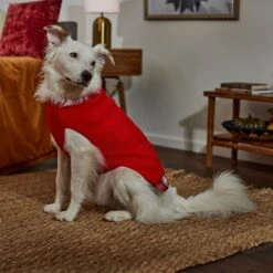 Frisco Plaid Cable Knit Dog & Cat Sweater -Frisco Sales Store 353611 PT7. AC SS1800 V1660749926