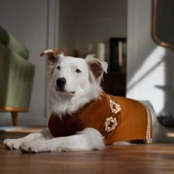 Frisco Western Pattern Dog & Cat Sweater -Frisco Sales Store 353634 PT7. AC SS1800 V1660749685
