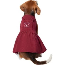Frisco Sleepy Face Dog & Cat Dress -Frisco Sales Store 353657 PT2. AC SS1800 V1659008189