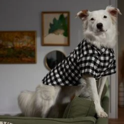 Frisco Black Plaid Dog & Cat Shirt -Frisco Sales Store 353682 PT7. AC SS1800 V1660749685