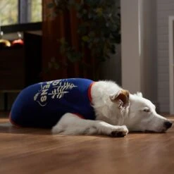 Frisco Shed Happens Dog & Cat T-Shirt -Frisco Sales Store 353698 PT7. AC SS1800 V1660749629