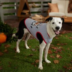 Frisco Little Champ Dog & Cat T-Shirt -Frisco Sales Store 353722 PT7. AC SS1800 V1660749632