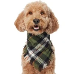 Frisco Plaid Fringe Dog & Cat Bandana -Frisco Sales Store 353769 PT2. AC SS1800 V1659010812