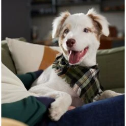 Frisco Plaid Fringe Dog & Cat Bandana -Frisco Sales Store 353769 PT6. AC SS1800 V1660749811