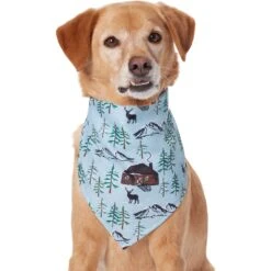 Frisco Moose Lodge Dog & Cat Bandana -Frisco Sales Store 353774 PT2. AC SS1800 V1659008241