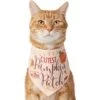 Frisco Cutest Pumpkin In The Patch Dog & Cat Bandana -Frisco Sales Store 353777 MAIN. AC SS1800 V1659010811