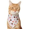 Frisco Apple Dog & Cat Bandana