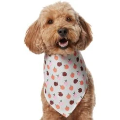 Frisco Apple Dog & Cat Bandana -Frisco Sales Store 353786 PT2. AC SS1800 V1661275129