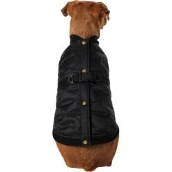 Frisco Lightweight Belted Puffer Dog & Cat Jacket -Frisco Sales Store 353825 PT2. AC SS1800 V1659010815