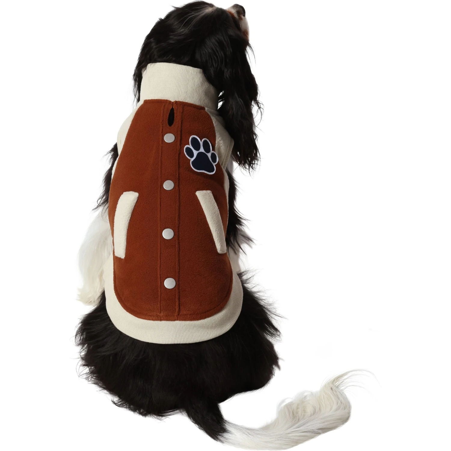 Frisco Lightweight Varsity Dog & Cat Jacket 5 Frisco Lightweight Varsity Dog & Cat Jacket - Image 3