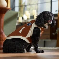 Frisco Lightweight Varsity Dog & Cat Jacket 16 Frisco Lightweight Varsity Dog & Cat Jacket -Frisco Sales Store 353861 PT7. AC SS1800 V1660749417