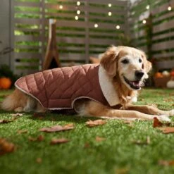 Frisco Mid-Heavyweight Fleece Lined Quilted Dog & Cat Coat 16 Frisco Mid-Heavyweight Fleece Lined Quilted Dog & Cat Coat -Frisco Sales Store 353877 PT7. AC SS1800 V1660750171