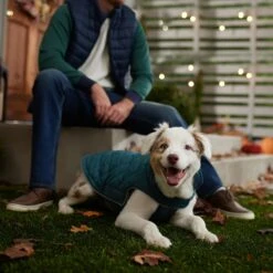 Frisco Mediumweight Reversible Dog & Cat Coat -Frisco Sales Store 353932 PT7. AC SS1800 V1660749442