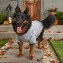 Frisco Pink Tie Dye Dog & Cat Hoodie 16 Frisco Pink Tie Dye Dog & Cat Hoodie -Frisco Sales Store 353981 PT7. AC SS1800 V1660749835