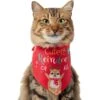 Frisco Cutest Reindeer Of All Dog & Cat Bandana 2 Frisco Cutest Reindeer Of All Dog & Cat Bandana -Frisco Sales Store 357931 MAIN. AC SS1800 V1660756046