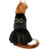 Frisco Kiss Me At Midnight Dog & Cat Dress